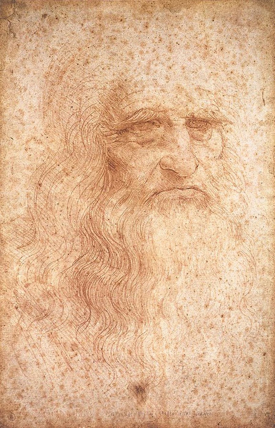 Leonardo da Vinci's red-chalk self-portrait, an old man with long hair and beard